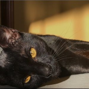 Meet your Posher, Marissa